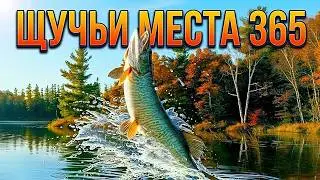 Где стоит щука весной, летом, осенью, зимой