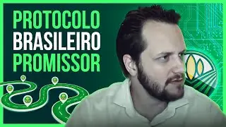 Como lidar com a volatilidade das Cripto e Protocolo DeFi Brasileiro| CAFÉ DO BITCÃO 