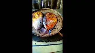 bakar ikan Ani ani