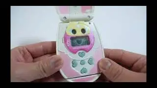 pretty cure transformation