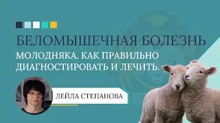БЕЛОМЫШЕЧНАЯ БОЛЕЗНЬ МОЛОДНЯКА: как правильно диагностировать и лечить