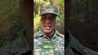 Seja o protagonista da sua própria história e não plateia da vida dos outros. 🎯🇧🇷