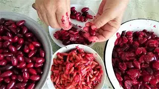 Как удалить косточки из КИЗИЛА вторым способом
