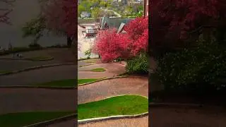 Snake Alley.The crookedest street in the world.USA #dangerous #amazing #viral