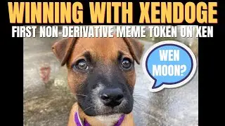 Is XENDOGE The Next PEPE?
