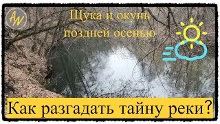 Щука осенью. Рыбалка на реке. Как её поймать?