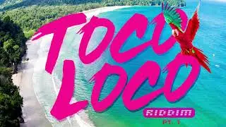 Toco Loco Riddim Medley - 2019 Soca