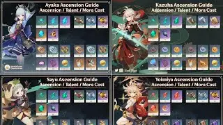Genshin Impact All Characters Ascension