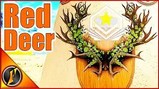 Someone Found the Great One! It's Red Deer!