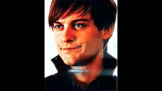 The Best Spider Man #shorts #edit #spiderman #tobeymaguire #tomholland #andrewgarfield