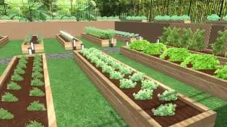 Designing a home garden