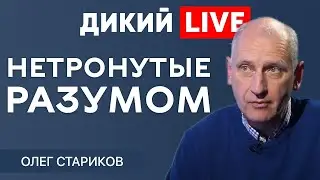 «Кажется, пчелы начали что-то подозревать»… Олег Стариков. Дикий LIVE