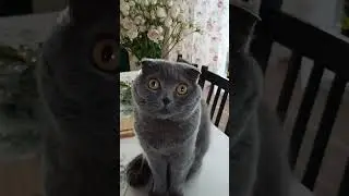 САМАЯ ВЫСОКАЯ ЗАРПЛАТА😂 