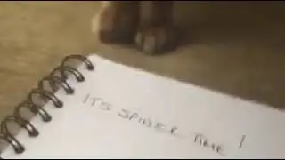 Кошка ловит НАРИСОВАННОГО паука