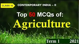 Important MCQs of Agriculture Class 10 Geography | Geography Chapter 4 Agriculture MCQs for Term 1