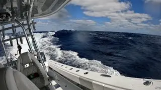 2 Different Worlds - Offshore vs Inshore (A couple reasons I Love the Florida Keys)