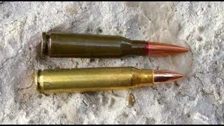 Что выбрать  Сайга 5,45 или 223rem