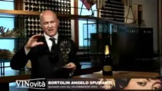 Vinovita.wmv