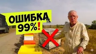 Лучший улей для нуклеусов из практики Нуклеусы для пчел Что это?