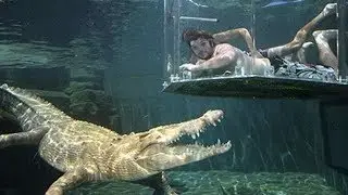5 PISCINES les PLUS INCROYABLES du MONDE