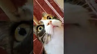 Моя новая соседка😁🥰🤣