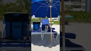 Лайка Отмечает День Независимости Америки на Пляже в Халландейле