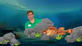 February 2024 - Sculpin