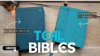 🩵NASB Beauty of Scripture ✨NET full notes edition