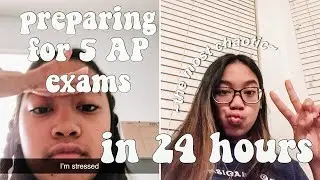 studying for 5 AP exams in 24 hours