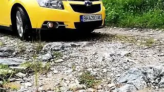 bumblebee slowmotion