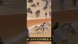 Лошадь фонтастик Подписаться! horse fontastic 