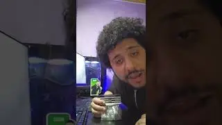 هل حلوى الموت تستحق الضجة؟