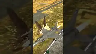 Average Warthunder Mental State 