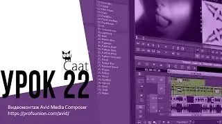 Caat / Урок 22. Эффекты в Avid Media Composer 8.7.2