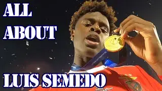Why did Sunderland sign Luis Hemir Semedo?