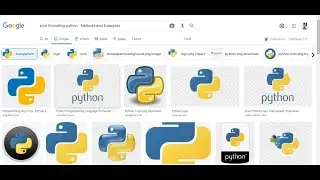 Python Programming Language (Tutorial) : Input Statement