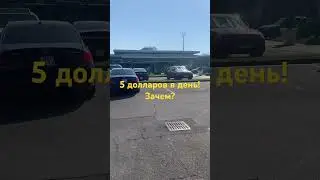 Российские миллионеры???