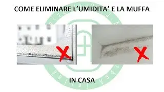 Come Eliminare l'Umidità e la Muffa in Casa