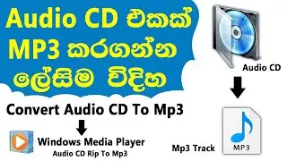 How to Rip Audio CD Fro MP3 Track | How to convert Audio CD Track MP3 Windows Media Player sinhala