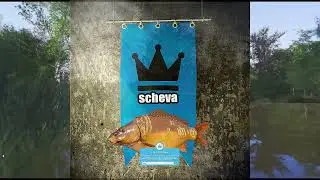 Миша - scheva - Поймал редкого трофея (Карп зеркальный) 46,497кг. #русскаярыбалка4 #русскаярыбалка4