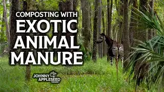 Composting Exotic Animal Manure | Part I | Introducing White Oak Conservancy