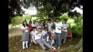 video capa