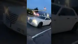 #cars #truck