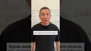 Ни капли крови!