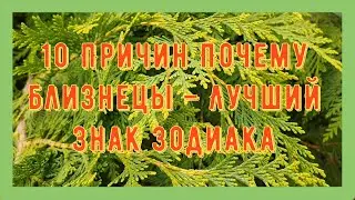 10 Причин Почему Близнецы лучший Знак Зодиака