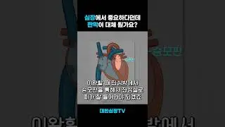심장의 해부학, 심장판막이란?