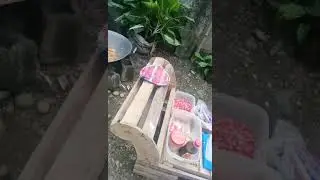 let's cook with my 2 sister and brother