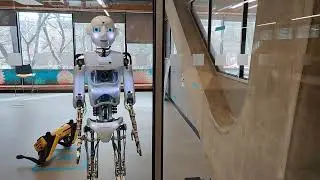 Human-Robot Interaction