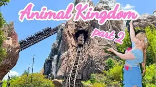Animal Kingdom part 2 - Riding Expedition Everest! and petting goats..