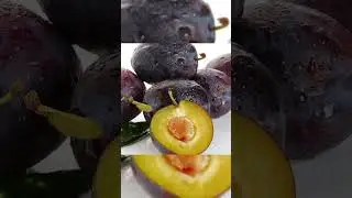 Եթե 50 անց եք, ապա այս տեսանյութը Ձեզ համար է